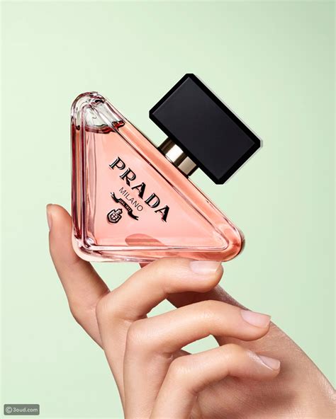 prada paradoxe launch date|prada paradoxe perfume price.